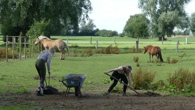 Tiere in der Ferienwohnung oder in der Nähe