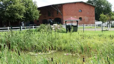 Ein Garten an der Unterkunft Hof Thomsen