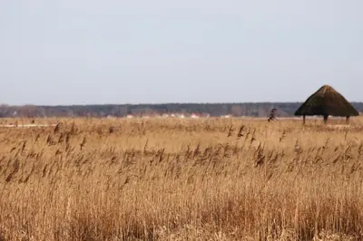 Naturlandschaft in der Nähe der Ferienwohnung