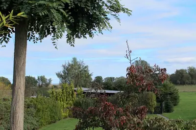 Ein Garten an der Unterkunft Alte Gärtnerei App Hortensie
