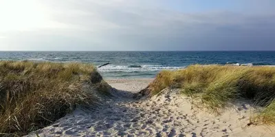 Naturlandschaft in der Nähe der Ferienwohnung