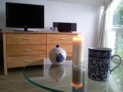 TV/Unterhaltungsangebot in der Unterkunft Birkenstrasse.6 i Wohnung 12