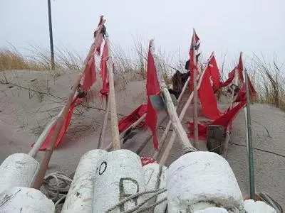 Grundriss der Unterkunft Birkenstrasse.6 i Wohnung 12