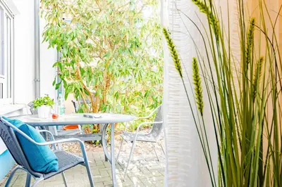 Ein Garten an der Unterkunft Darßer Weg 31a
