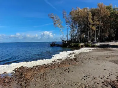 Naturlandschaft in der Nähe des Ferienhauses