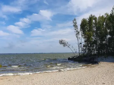 Naturlandschaft in der Nähe des Ferienhauses