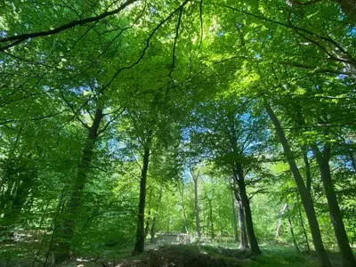Naturlandschaft in der Nähe des Ferienhauses