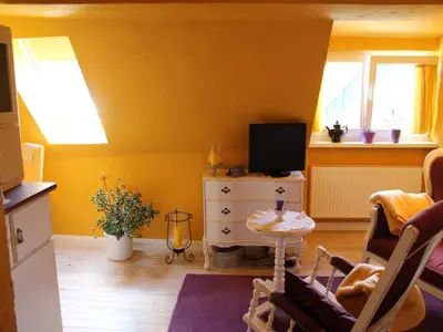TV/Unterhaltungsangebot in der Unterkunft Beautiful Apartment in Damgarten with Garden