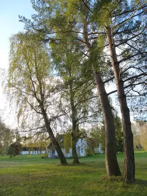 Naturlandschaft in der Nähe des Ferienhauses