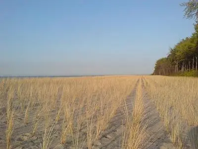 Naturlandschaft in der Nähe der Ferienwohnung