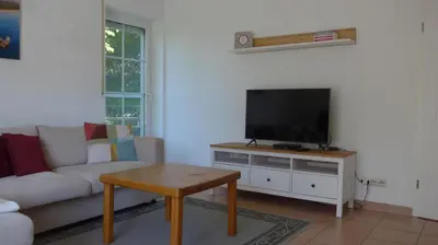 TV/Unterhaltungsangebot in der Unterkunft Haus Kranich 