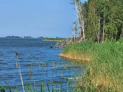 Naturlandschaft in der Nähe des Ferienhauses