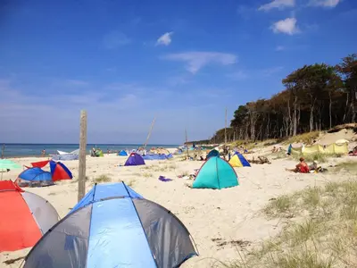 Naturlandschaft in der Nähe der Ferienwohnung