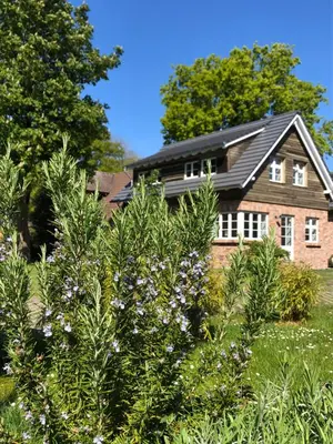 Ein Garten an der Unterkunft Katjas Kate