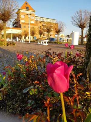 Ein Garten an der Unterkunft Sunshine Speicherresidenz Barth