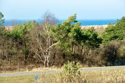 Naturlandschaft in der Nähe der Ferienwohnung