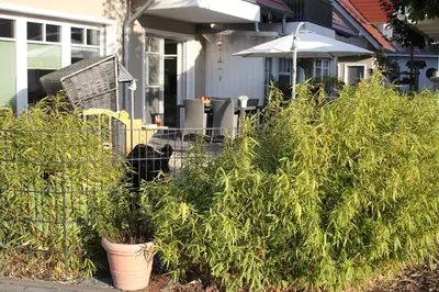 Ein Garten an der Unterkunft Ferienwohnung Stoneyard´s