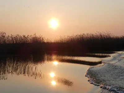 Naturlandschaft in der Nähe der Ferienwohnung