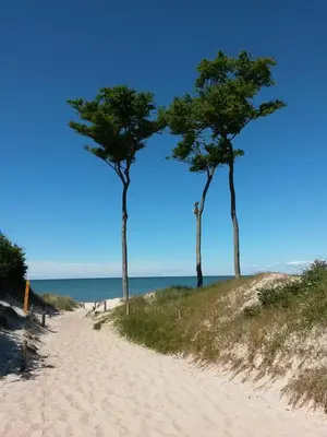 Naturlandschaft in der Nähe der Ferienwohnung