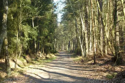 Naturlandschaft in der Nähe der Ferienwohnung