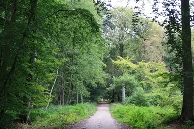 Naturlandschaft in der Nähe der Ferienwohnung