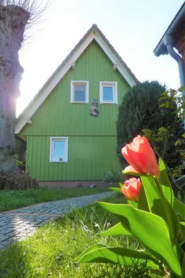 Ein Garten an der Unterkunft Ferienhaus Eulennest - Ulenhoef
