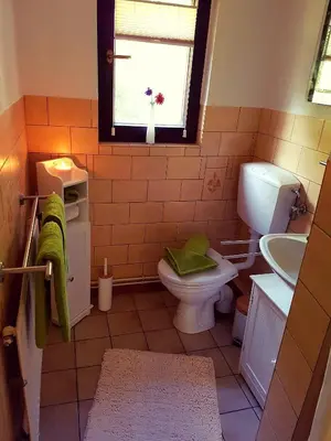 Ein Badezimmer in der Unterkunft Schuhsterhus am Bodden