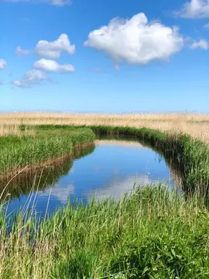 Naturlandschaft in der Nähe der Ferienwohnung
