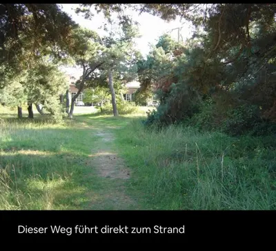 Naturlandschaft in der Nähe der Ferienwohnung