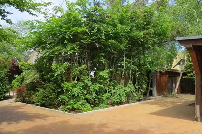 Ein Garten an der Unterkunft Ferienhaus Möve