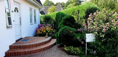 Ein Garten an der Unterkunft Strandmöwe 1