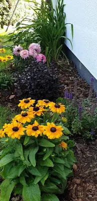 Ein Garten an der Unterkunft Strandmöwe 1
