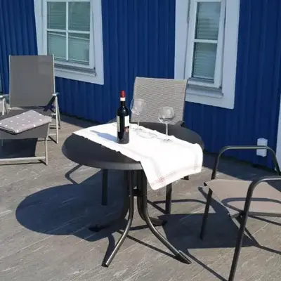 Strandmöwe 2
