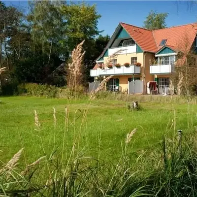 Strandmuschel