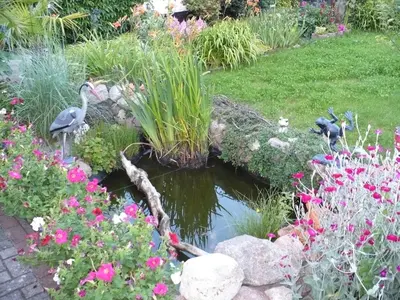 Ein Garten an der Unterkunft Zimmer in Hafennähe