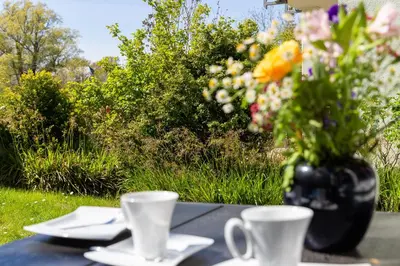 Ein Garten an der Unterkunft Schifferstübchen