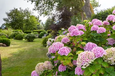 Ein Garten an der Unterkunft Haus am Hohen Ufer 01