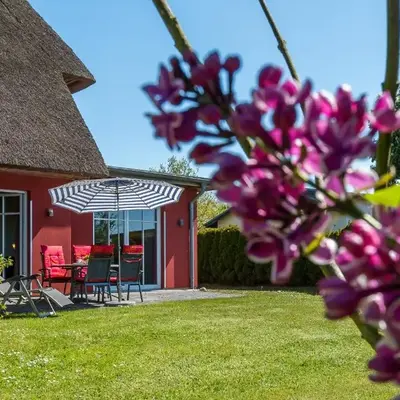 An den Boddenwiesen 01