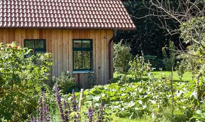 Ein Garten an der Unterkunft Alte Tischlerei 01