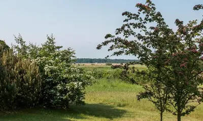 Naturlandschaft in der Nähe des Ferienhauses