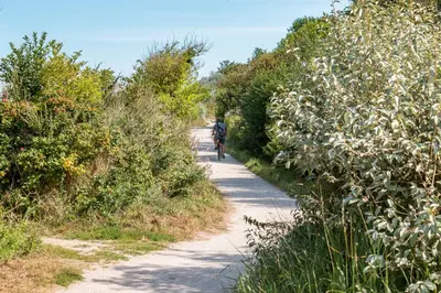 Naturlandschaft in der Nähe des Ferienhauses