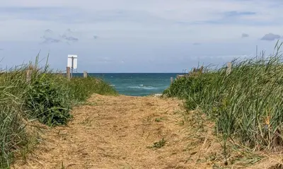 Naturlandschaft in der Nähe der Ferienwohnung