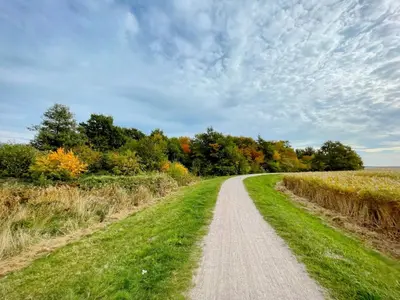 Naturlandschaft in der Nähe der Ferienwohnung