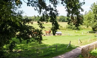Naturlandschaft in der Nähe des Ferienhauses