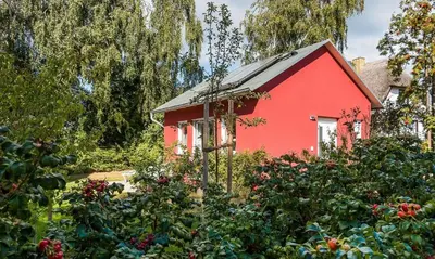 Ein Garten an der Unterkunft Meertraum