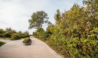 Ein Garten an der Unterkunft Pommernhus Ostseeblick