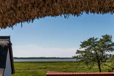 Naturlandschaft in der Nähe des Ferienhauses