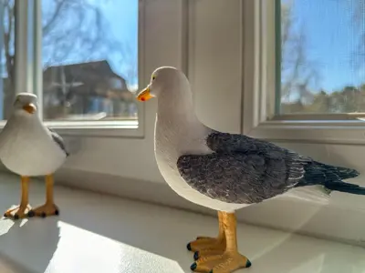 Tiere im Ferienhaus oder in der Nähe
