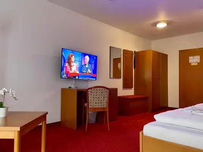 TV/Unterhaltungsangebot in der Unterkunft gut-Hotel Pommernhotel Barth