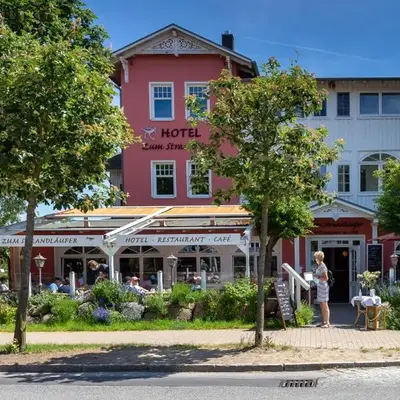 Strandläufer 03